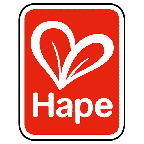 Discovering the Magic of Hape: Why We Love This Toy Brand
