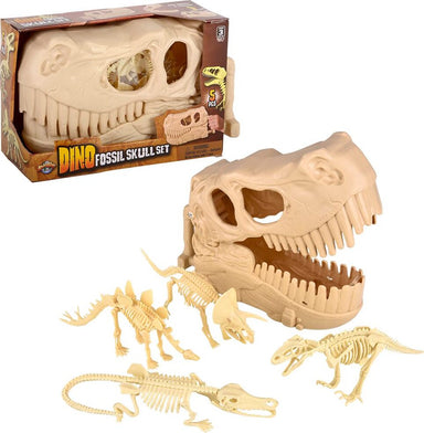 10" Dinosaur Fossil Skull Set 5Pc