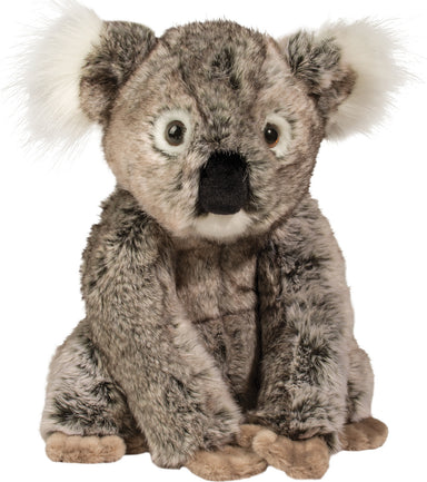 Kellen Dlux Koala