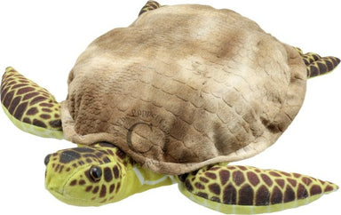 Large Creatures - Turtle