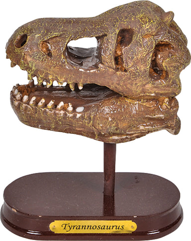 6.5" T-rex Skull Excavation