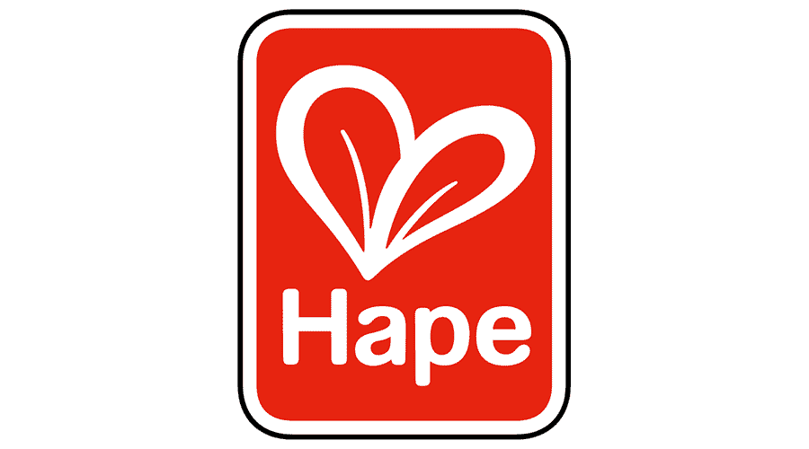 Discovering the Magic of Hape: Why We Love This Toy Brand