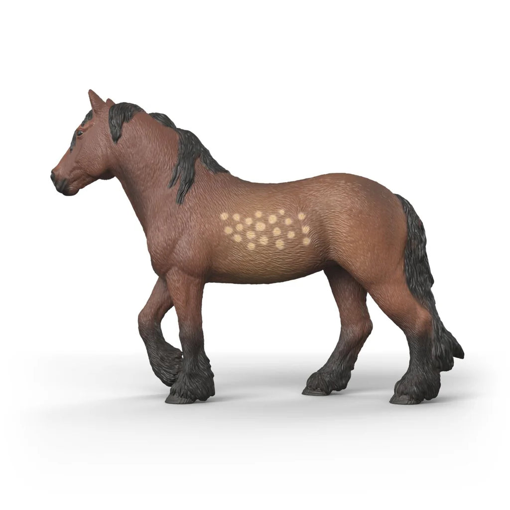 North Swedish Cold Blooded Mare