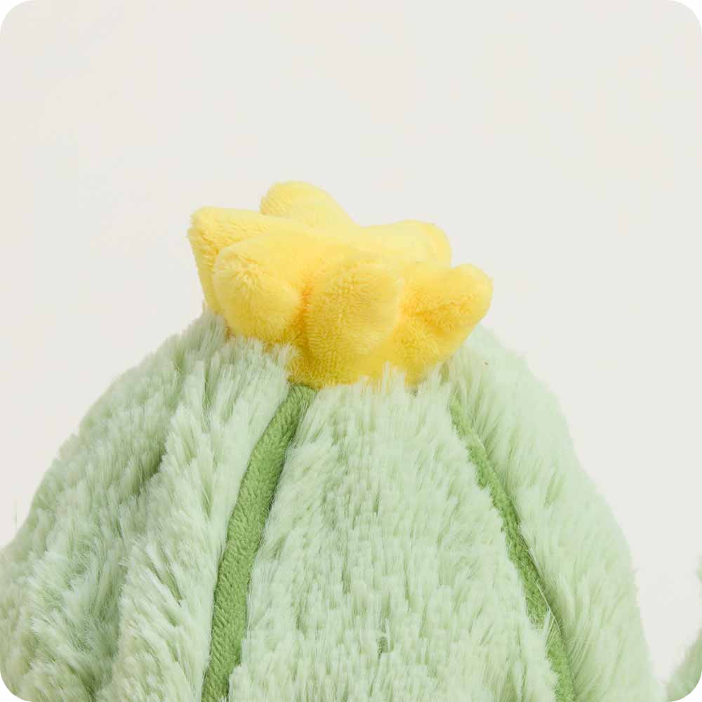 Cactus Warmies Viral Teen Gift