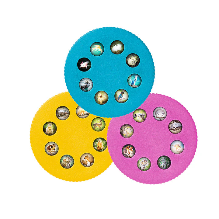 Wonder Lights Educational Flashlight Projectors