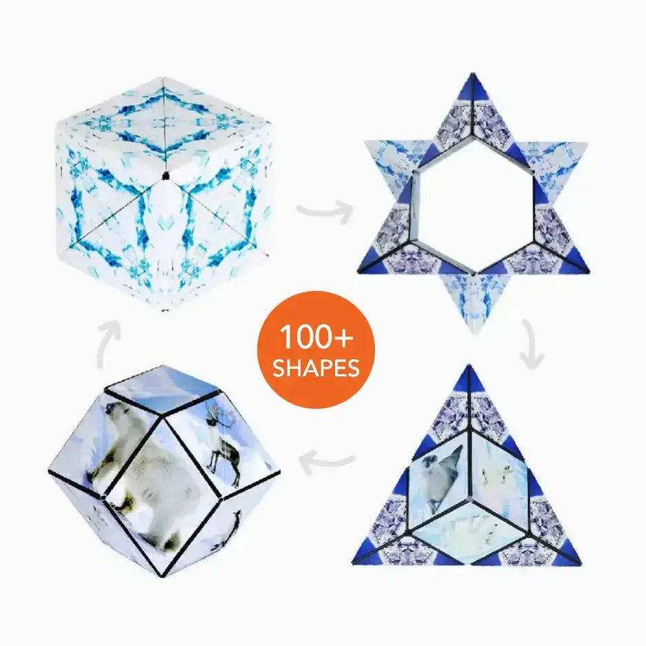 Shashibo - Artic