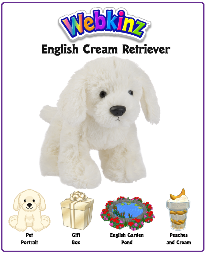 ENGLISH CREAM RETRIEVER