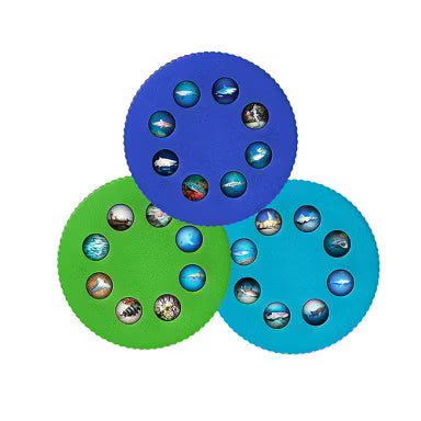 Wonder Lights Educational Flashlight Projectors