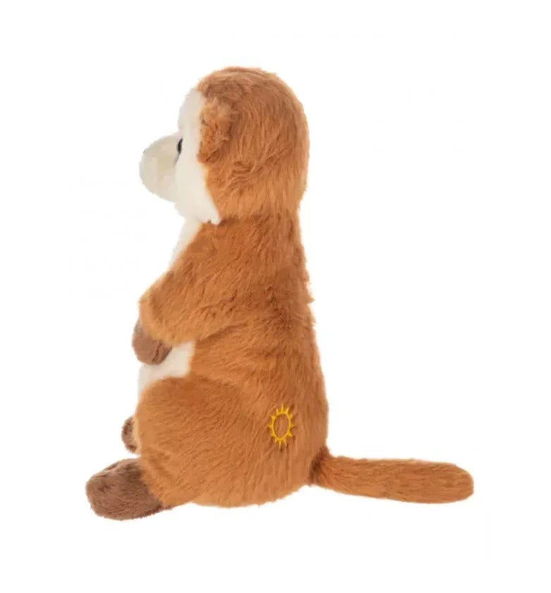 8.5" MEERKAT