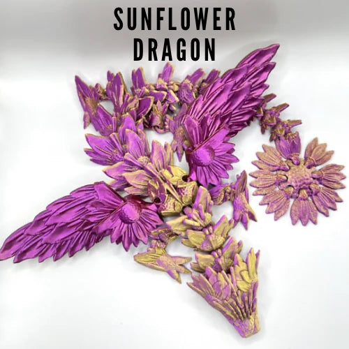 Dragon Variety Large