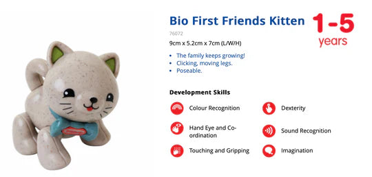 First Friends Kitten