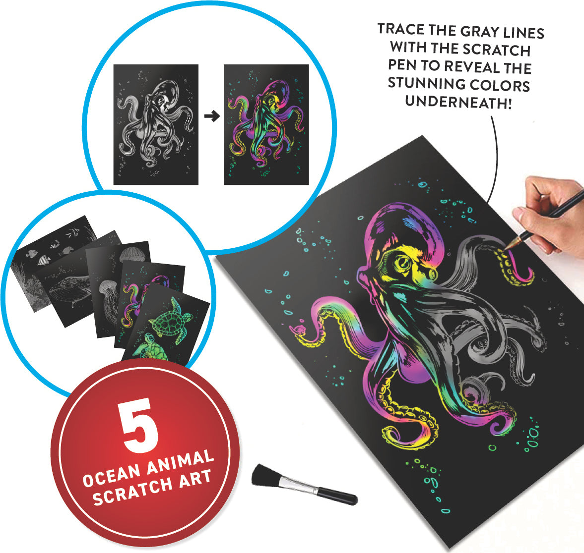 VR Discover Box - Oceans!