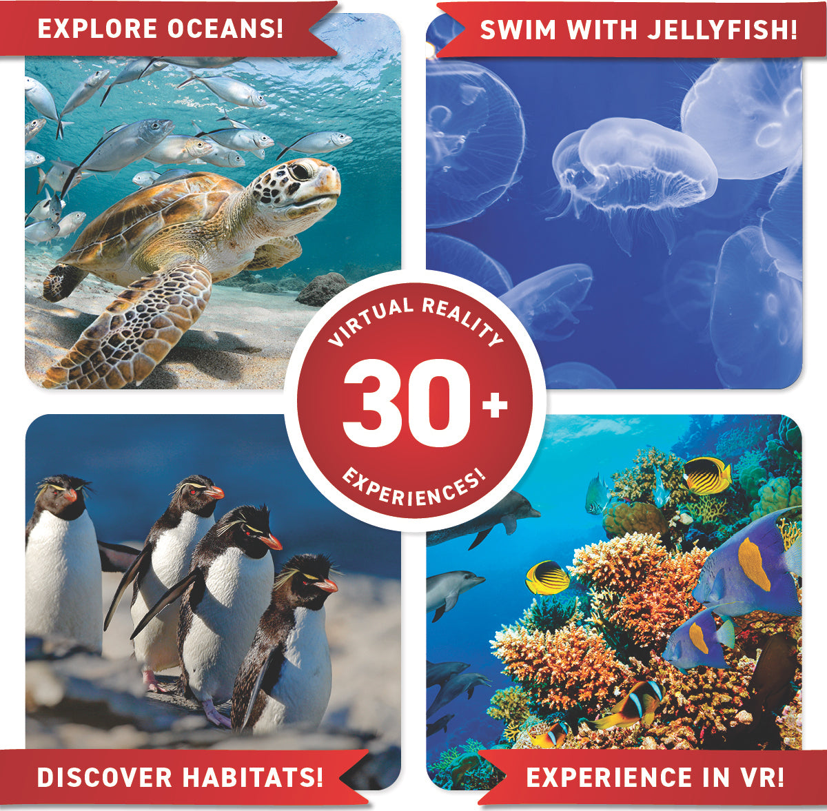 VR Discover Box - Oceans!