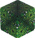 Shashibo: Forest