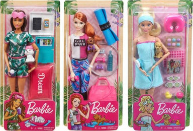 Barbie: Wellness (assorted)