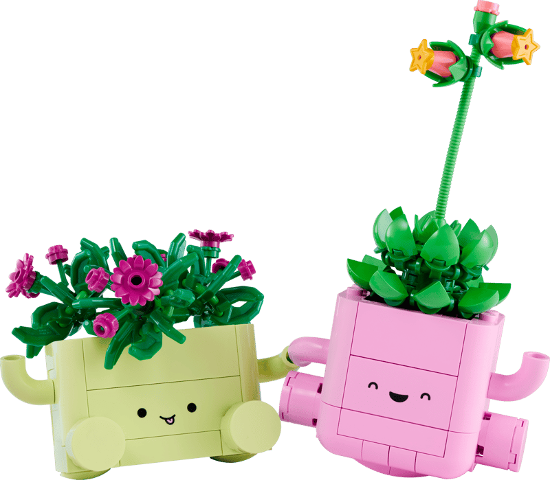 BOTANICALS Rocking Plants