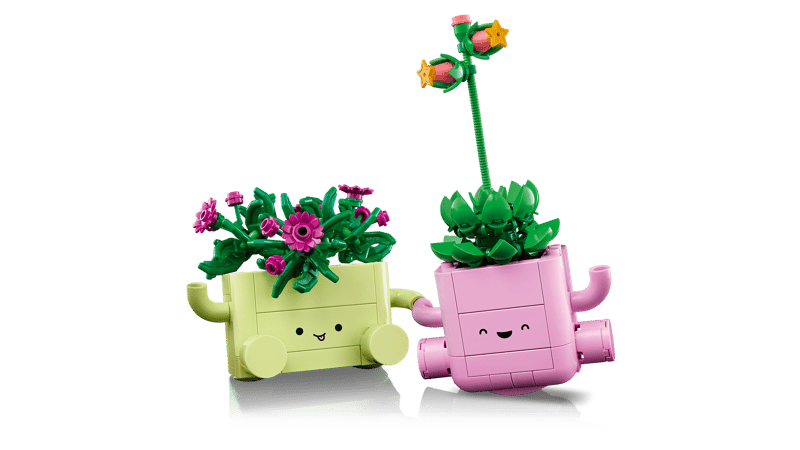 BOTANICALS Rocking Plants
