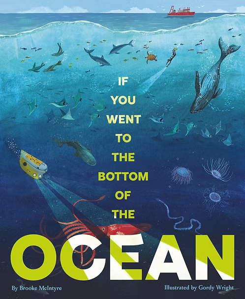 New Best Seller If You Went to the Bottom of the Ocean