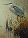 Great Blue Heron puzzle (500 pc)