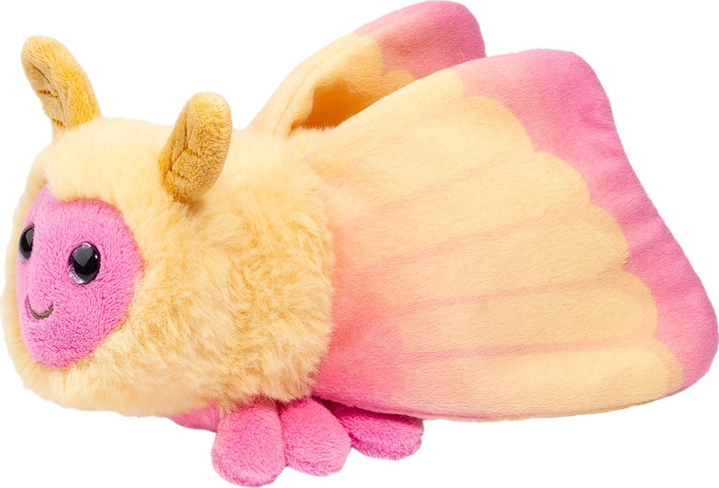 Rosy Maple Moth