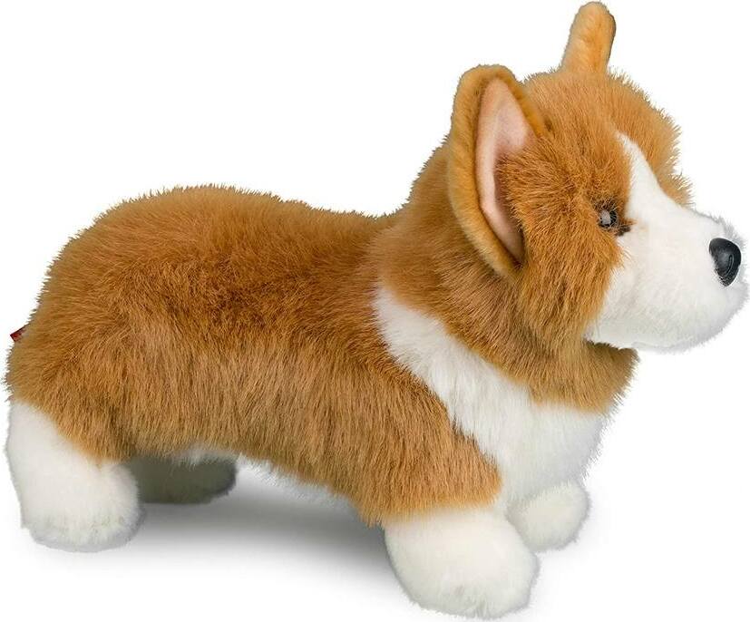 Louie Corgi