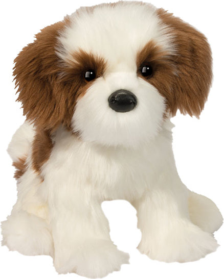 Farren Shih Tzu