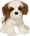 Farren Shih Tzu