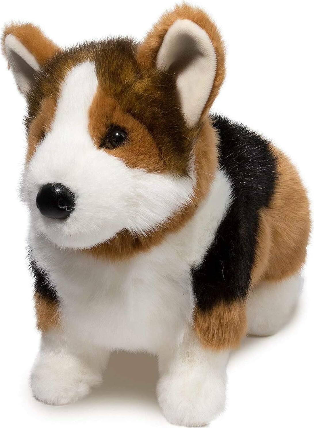 Kirby Tri-Colored Corgi