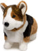 Kirby Tri-Colored Corgi