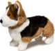 Kirby Tri-Colored Corgi