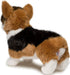 Kirby Tri-Colored Corgi