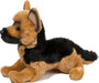 General German Shepherd