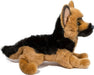 General German Shepherd
