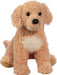 Noodle Goldendoodle, Large