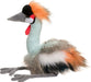 Nia African Crowned Crane
