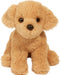 Mini Goldie Soft Golden Retriever