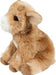 Mini Dandie Soft Goat