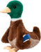 Desie Soft Mallard Duck