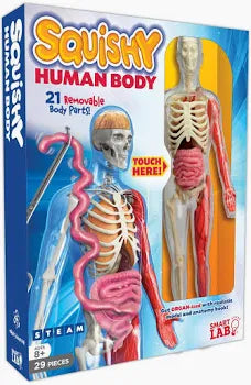 Smart Lab Squishy Human Body