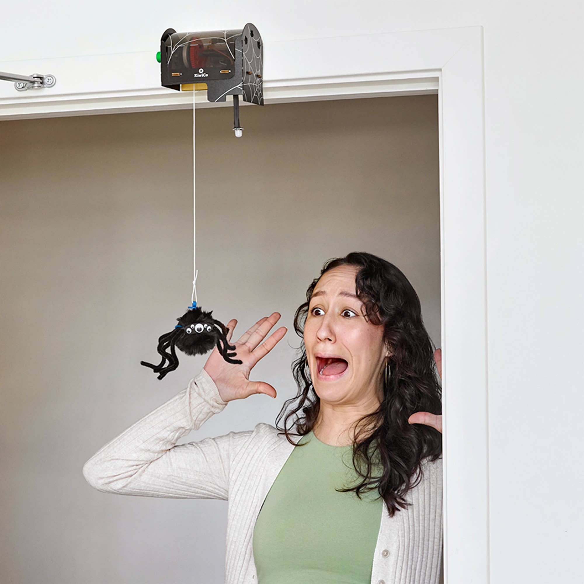 Halloween Motion Sensing Spider