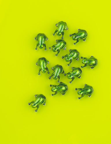 Lucky Little Frog Charm (assorted)