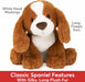 Kian Spaniel, 10 In