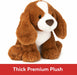Kian Spaniel, 10 In