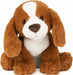 Kian Spaniel, 10 In
