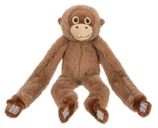 Hanging Monkeys