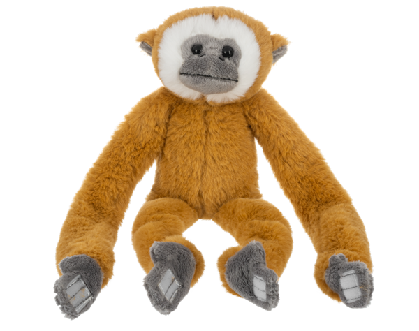 Hanging Monkeys