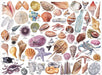 The Beachcomber's Companion 1000 Piece Puzzle With Shaped Pieces