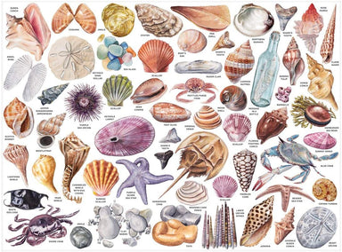 The Beachcomber's Companion 1000 Piece Puzzle With Shaped Pieces