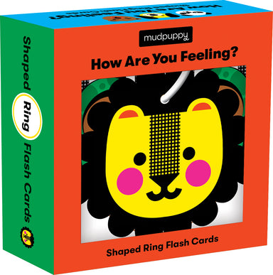 How Are You Feeling? Shaped Ring Flash Cards