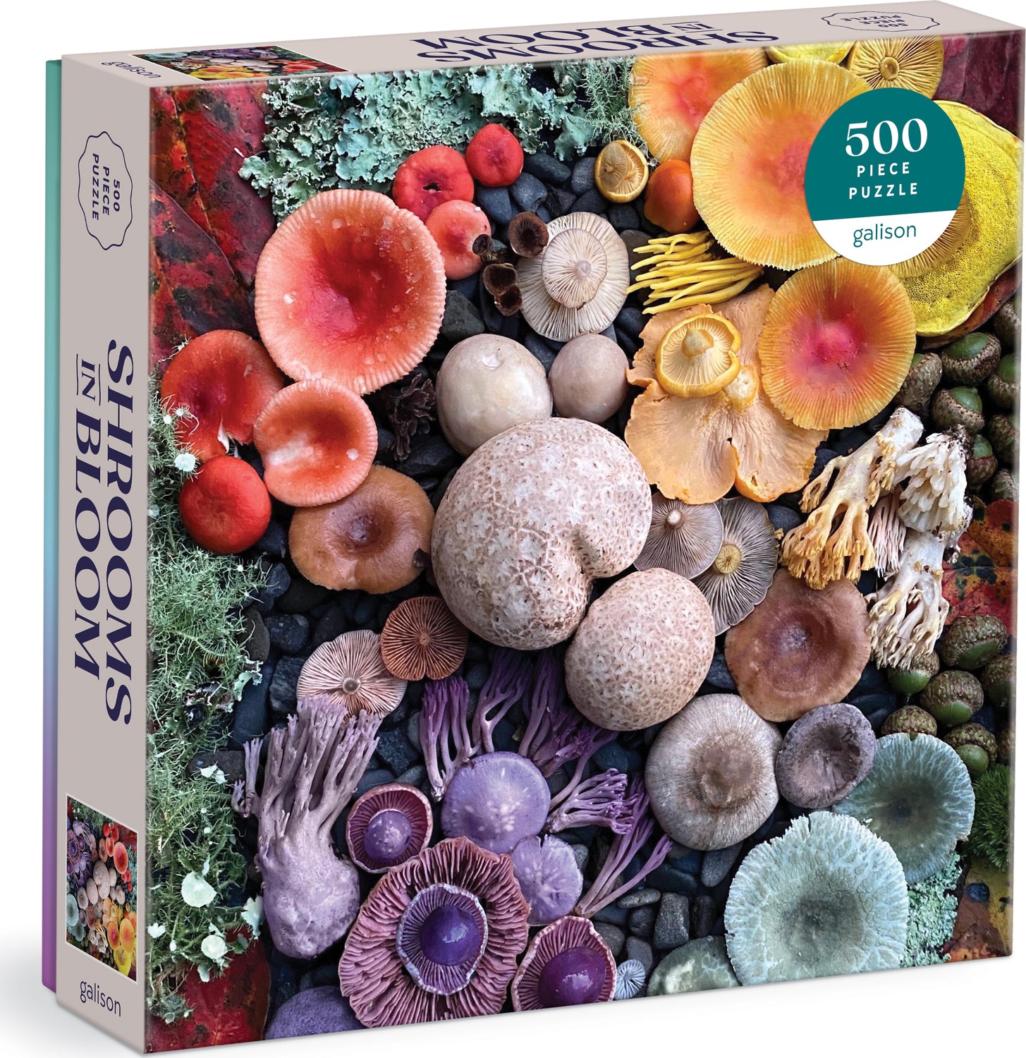 Shrooms in Bloom 500 Piece Puzzle